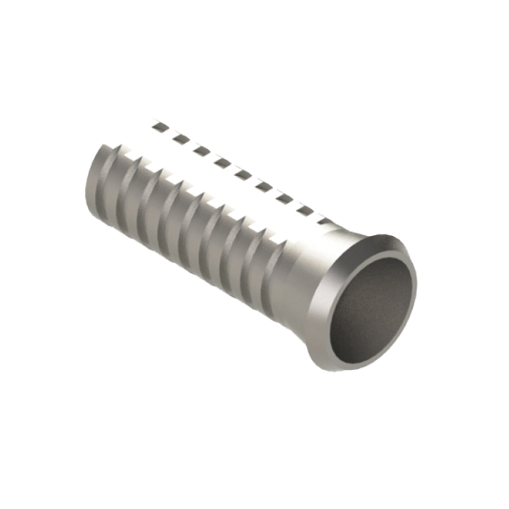 BL Multi-unit NoLock Temporary Abutment NP&RP